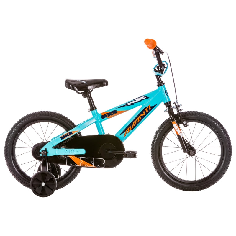 Avanti Mxr 16 2019