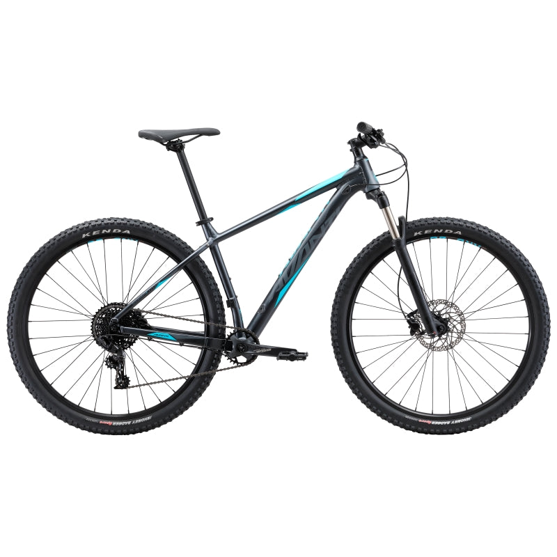 Avanti Competitor 1 2019