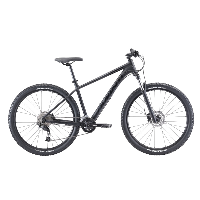 Avanti Montari LE 2020
