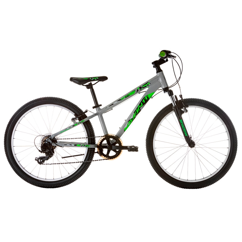 Avanti Shadow 24 2020