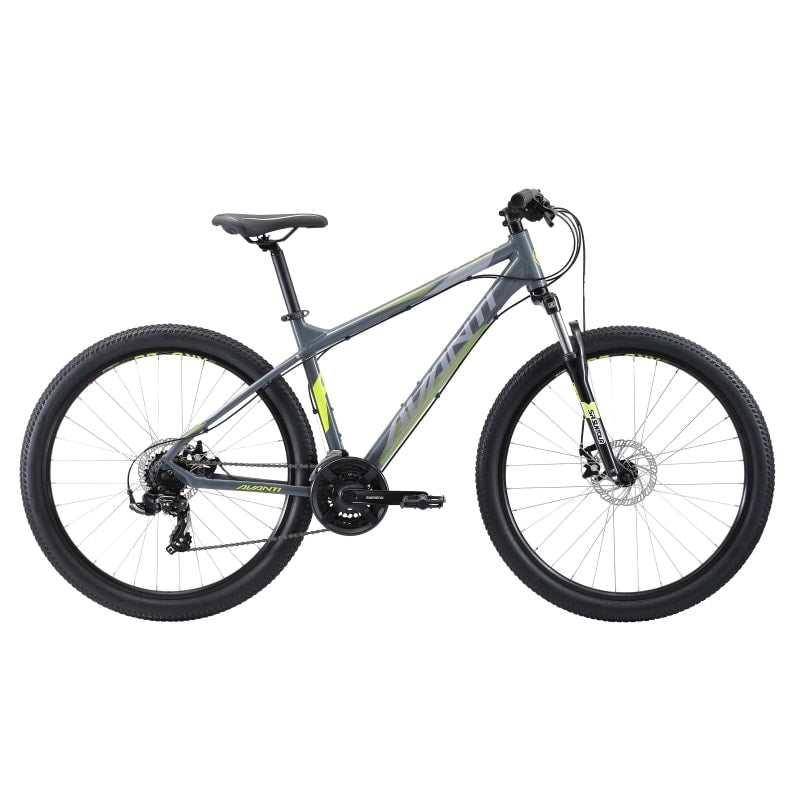 Avanti Montari 1 2019
