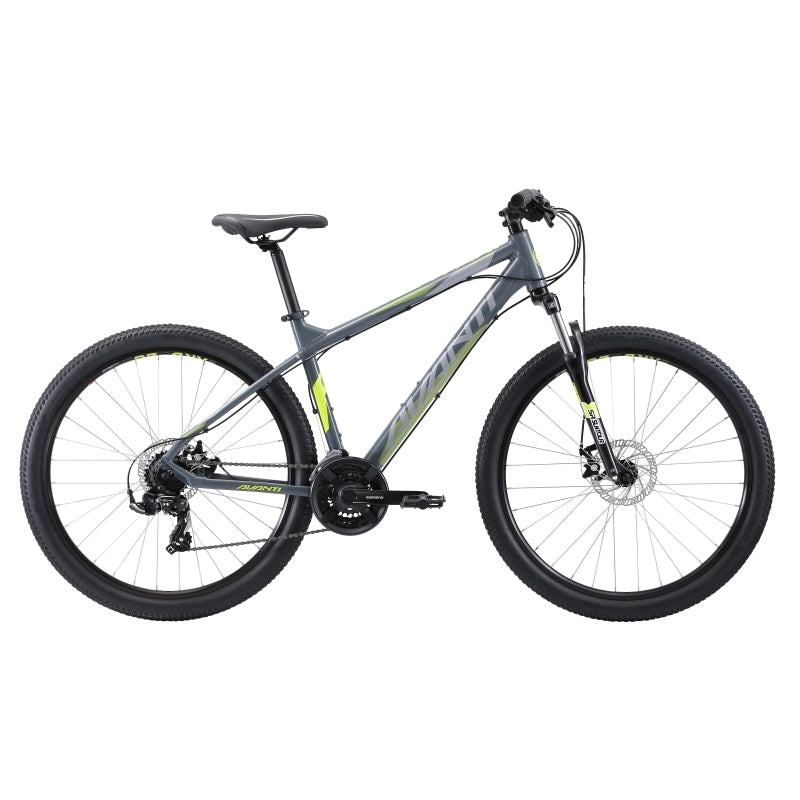Avanti Montari 1 2019