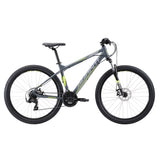 Avanti Montari 1 2019