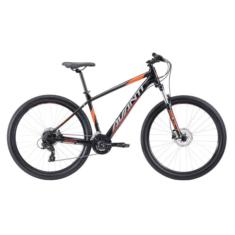 Avanti Montari 2 2019
