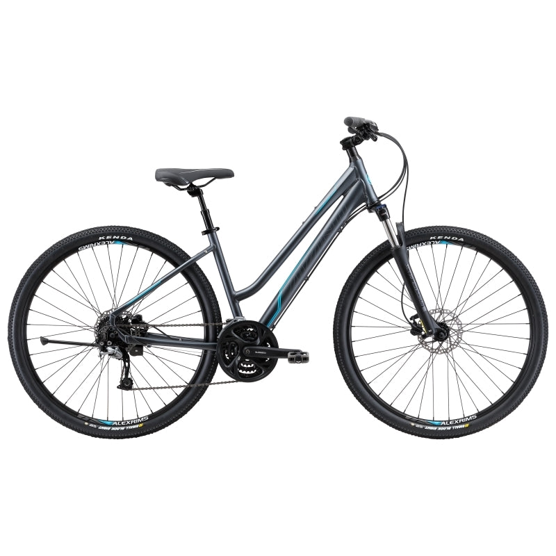 Avanti Discovery 3 Low 2019