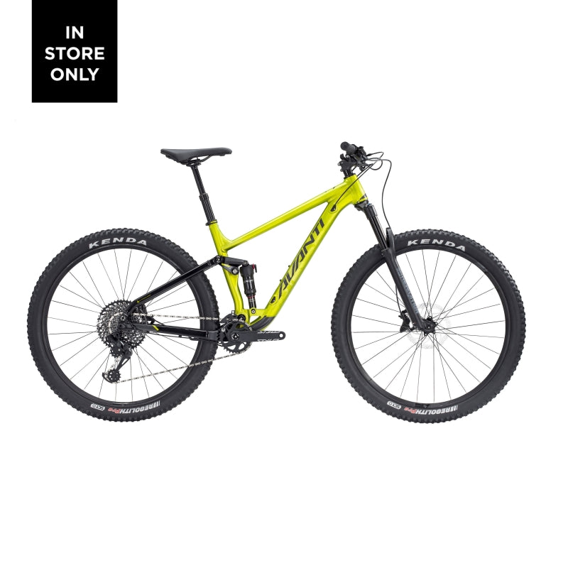 Avanti Hammer S2 2021