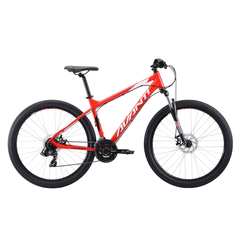 Avanti Montari 1 2019
